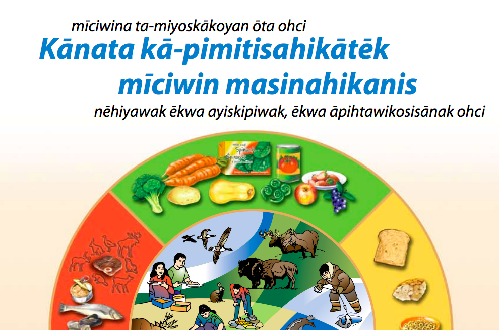 canada-s-food-guide-translated-in-4-indigenous-languages-healthy